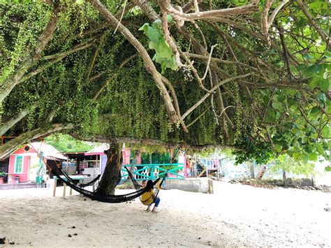 tiny house samal|Tiny Hauz Mini Resort Reviews, Rates, Photos, and Map (Updated 2024.